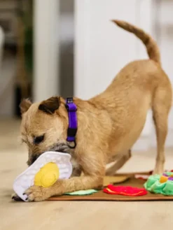 Grand Tapis de fouille pour chien - Brunch 🍳 - Pet PLAY