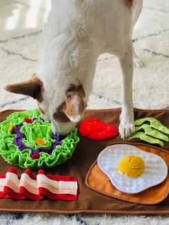 Grand Tapis de fouille pour chien - Brunch 🍳 - Pet PLAY