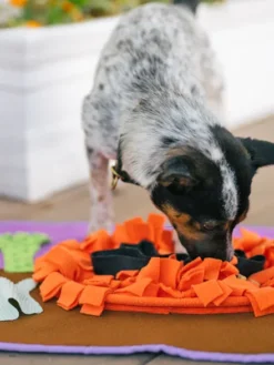 Grand Tapis de fouille snuffle mat - Halloween 👻 - Pet PLAY