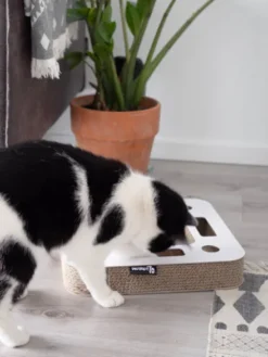 Griffoir en carton pour chat - Carré blanc