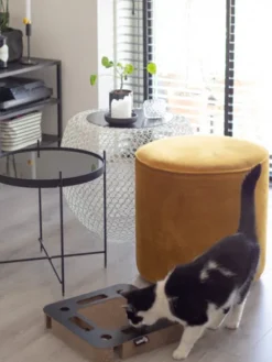 Griffoir en carton pour chat - Carré blanc