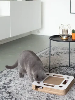 Griffoir en carton pour chat - Carré noir