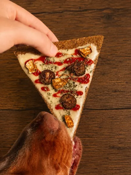 Gâteau pour chien Doggie Pizza 🍕 – Cooka's Cookies