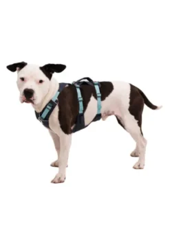 Harnais avec poignée Ruffwear - Flagline - Basalt Gray