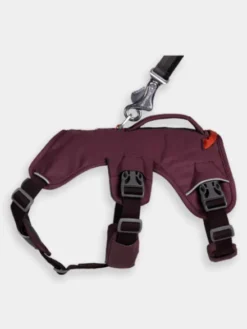 Harnais avec poignée Ruffwear - Webmaster - Purple Rain