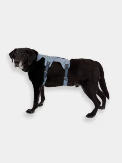 Harnais avec poignée Ruffwear - Webmaster - Slate Blue