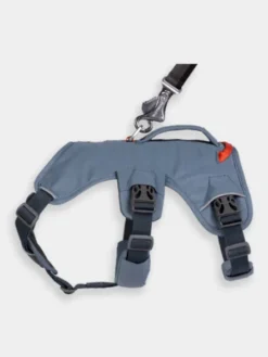 Harnais avec poignée Ruffwear - Webmaster - Slate Blue