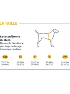 Harnais avec poignée Ruffwear - Webmaster - Slate Blue