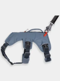 Harnais avec poignée Ruffwear - Webmaster - Slate Blue