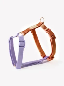 Harnais en H pour chien - Terracotta et Lavande - Furlou