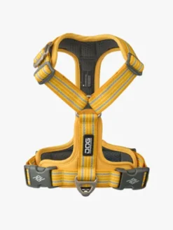 Harnais Lemon pour chien - Comfort Walk Air 3.0 - DOG Copenhagen