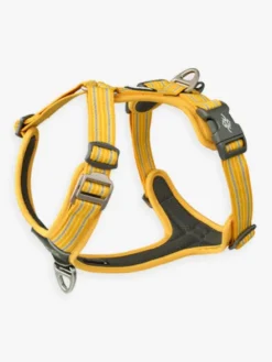 Harnais Lemon pour chien - Comfort Walk Air 3.0 - DOG Copenhagen