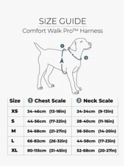 Harnais Lemon pour chien - Comfort Walk Pro 3.0 - DOG Copenhagen