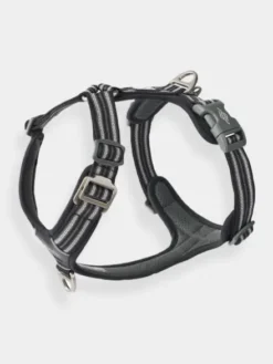 Harnais Noir pour chien - Comfort Walk Air 3.0 - DOG Copenhagen