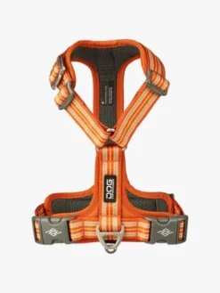 Harnais Orange pour chien - Comfort Walk Air 3.0 - DOG Copenhagen