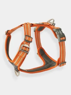Harnais Orange pour chien - Comfort Walk Air 3.0 - DOG Copenhagen