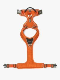 Harnais Orange pour chien - Comfort Walk Pro - DOG Copenhagen