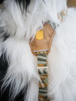 Harnais original pour chien motif Cloudbeam - Woolly Wolf