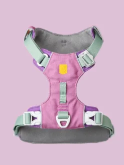 Harnais pour chien Alpha 360 - Mauve Mix - Woolly Wolf