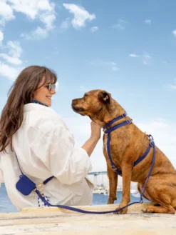 Harnais pour chien Cloud Lite - Bleu nuit - Shop Sunny Tails