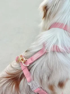 Harnais pour chien Cloud Lite - Rose Parfait - Shop Sunny Tails