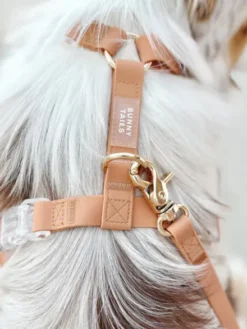 Harnais pour chien Cloud Lite - Chai - Shop Sunny Tails