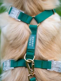 Harnais pour chien Cloud Lite - Vert forêt - Shop Sunny Tails