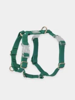 Harnais pour chien Cloud Lite - Vert forêt - Shop Sunny Tails