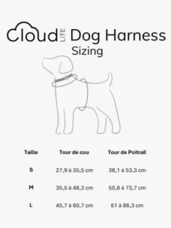 Harnais pour chien Cloud Lite - Vert forêt - Shop Sunny Tails
