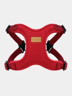 Harnais pour chien Confort Charlie's Backyard - Rouge