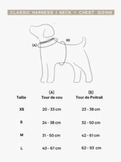 Harnais pour chien - Desert Dawn - Bop Pop Pets