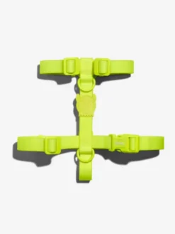 Harnais pour chien en néoprène - Neopro Lime - Zee.Dog