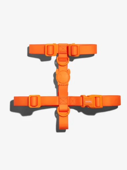 Harnais pour chien en néoprène - Neopro Tangerine - Zee.Dog