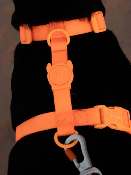 Harnais pour chien en néoprène - Neopro Tangerine - Zee.Dog