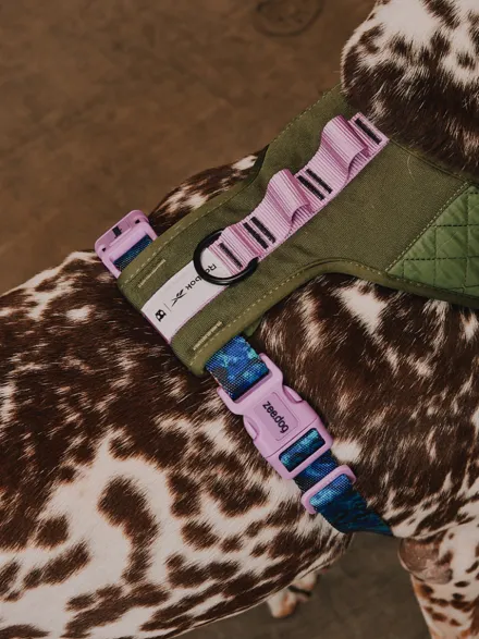 Harnais pour chien en Y - Trekk - Reebok x Zee.dog