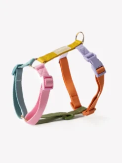 Harnais pour chien - Rainbow - Furlou