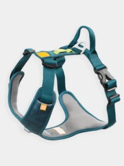 Harnais pour chien Roam Harness - Deep teal - Woolly Wolf