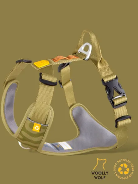 Harnais pour chien Roam Harness - Green Ripple - Woolly Wolf