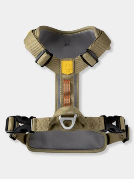 Harnais pour chien Roam Harness - Green Ripple - Woolly Wolf