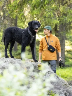 Harnais pour chien Roam Harness - Black Ripple - Woolly Wolf