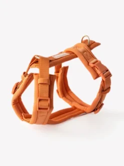 Harnais pour chien ultra léger Comfort - Terracotta - Furlou