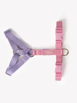 Harnais pour chien - Unicorn - Furlou
