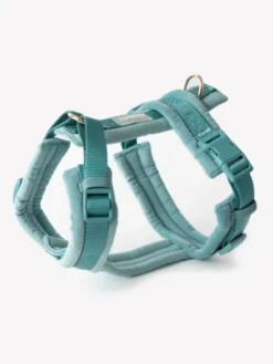Harnais pour chien - Velvet Harness - Blue (Bleu) - Furlou