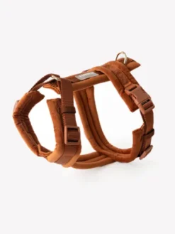 Harnais pour chien - Velvet Harness - Clay (Terre cuite) - Furlou