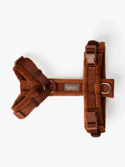 Harnais pour chien - Velvet Harness - Clay (Terre cuite) - Furlou