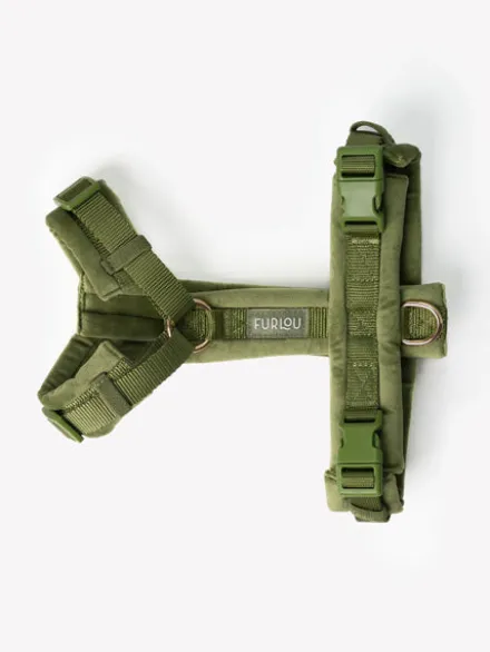 Harnais pour chien - Velvet Harness - Green (Vert) - Furlou