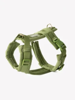 Harnais pour chien - Velvet Harness - Green (Vert) - Furlou