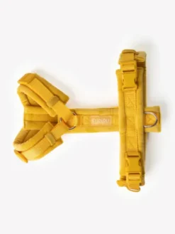 Harnais pour chien - Velvet Harness - Yellow (Jaune) - Furlou