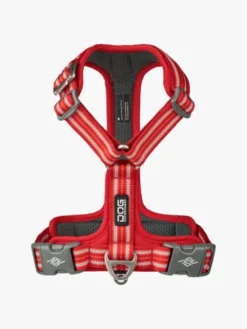 Harnais Rouge pour chien - Comfort Walk Air 3.0 - DOG Copenhagen