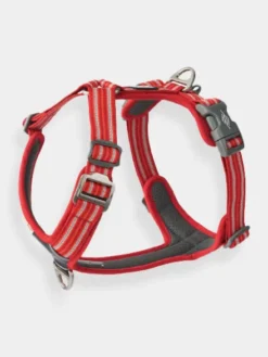 Harnais Rouge pour chien - Comfort Walk Air 3.0 - DOG Copenhagen
